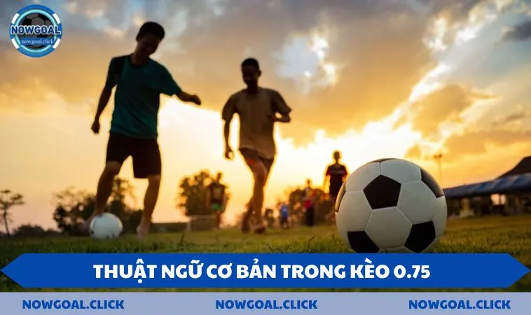 mot so thuat ngu thuong gap trong keo chap 0 75 1 Một số thuật ngữ thường gặp trong kèo chấp 0.75