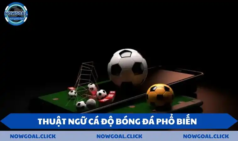 thuat ngu ca do bong da pho bien Một số thuật ngữ phổ biến tại bảng kèo NOWGOAL