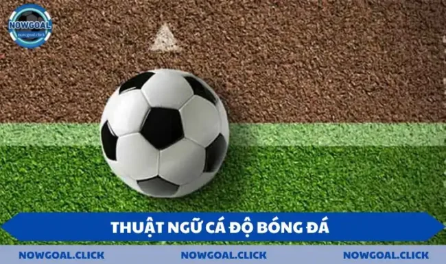 thuật ngữ cá độ bóng đá